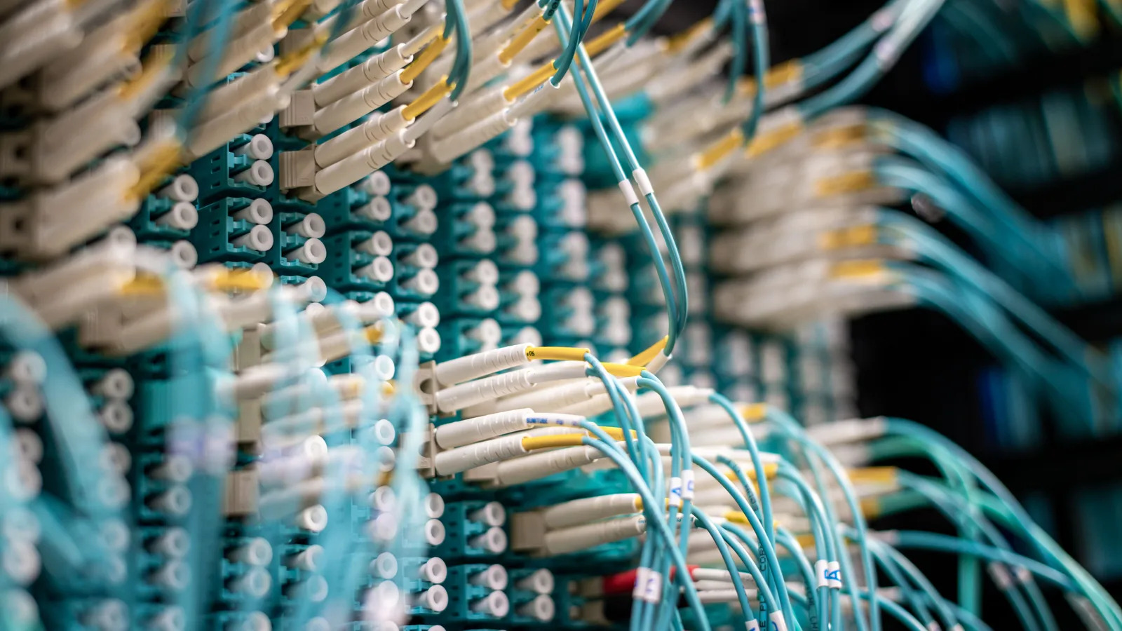 From below of fiber optic switch with sockets and connected rubber cables on blurred background