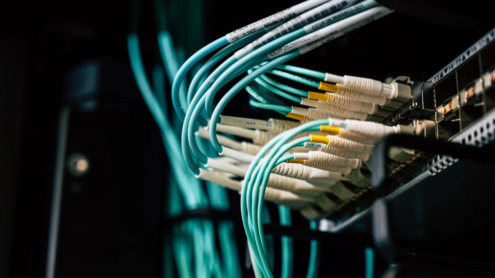 Detailed view of network cables plugged into a server rack in a data center.